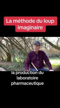 L'histoire du loup imaginaire