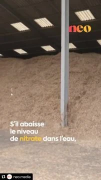 Un village se chauffe avec une plante le Miscanthus