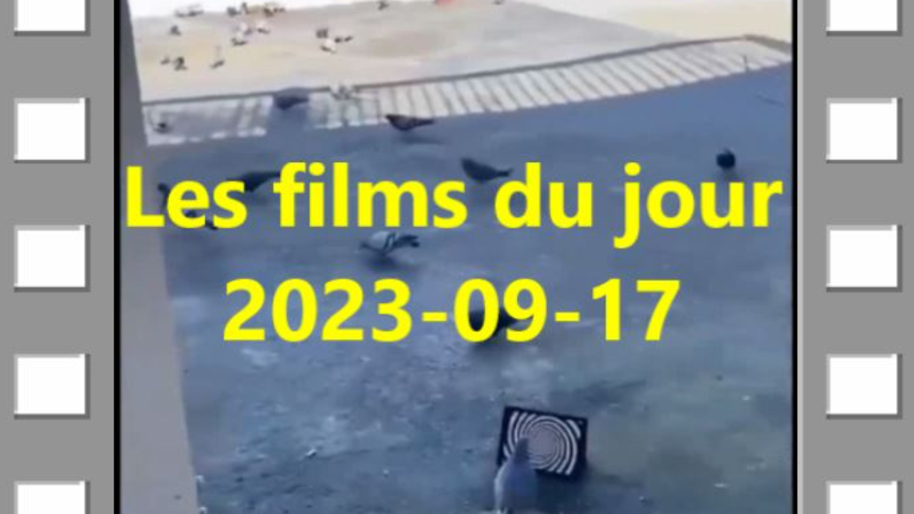 Les films du jour = 2023-09-17