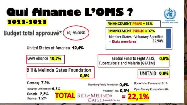 L'OMS avance ses pions Traite Pandemie & RSI ou en sont-ils - Chloe Frammery