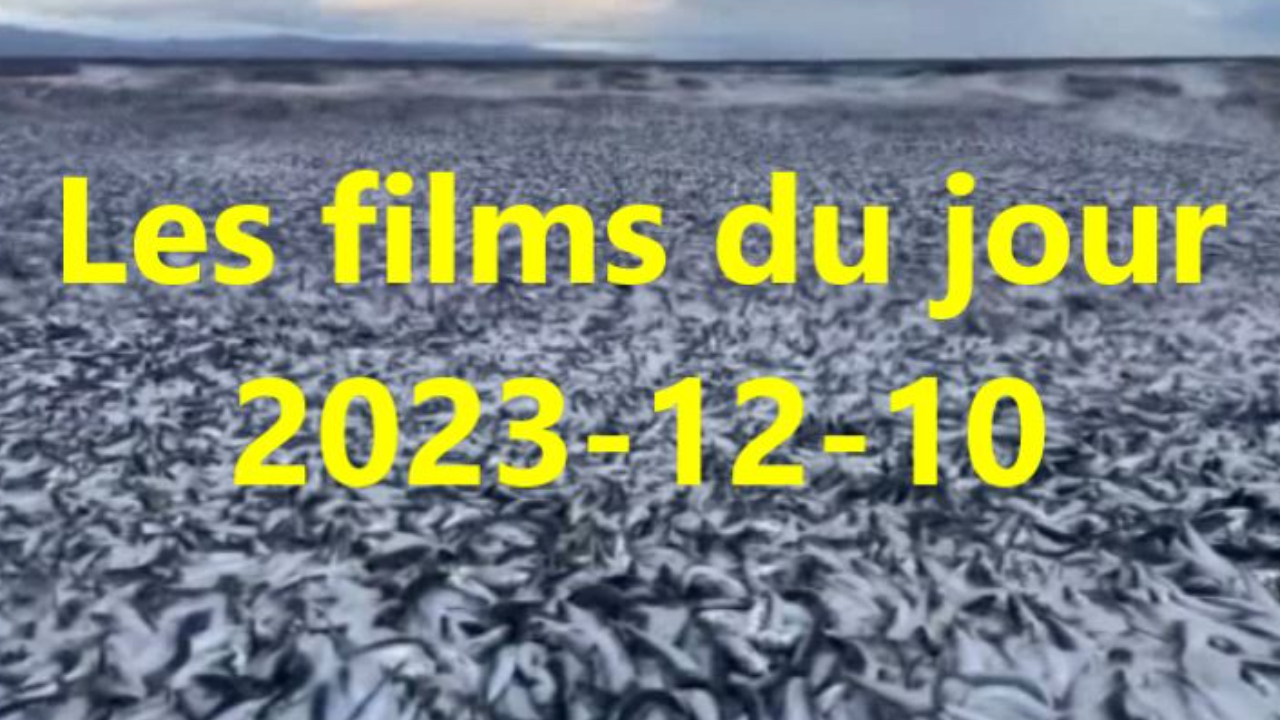 Les films du jour = 2023-12-10