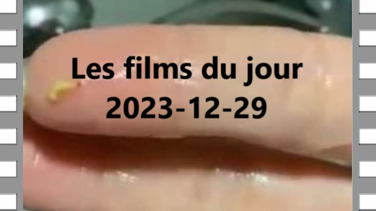 Les films du jour = 2023-12-29