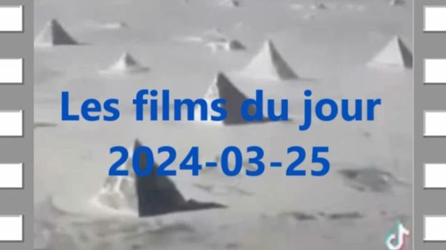 Les films du jour = 2024-03-25