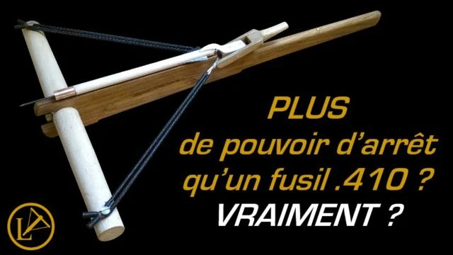 Cette Arbalète a PLUS de Puissance d'Arrêt qu'un Fusil 410