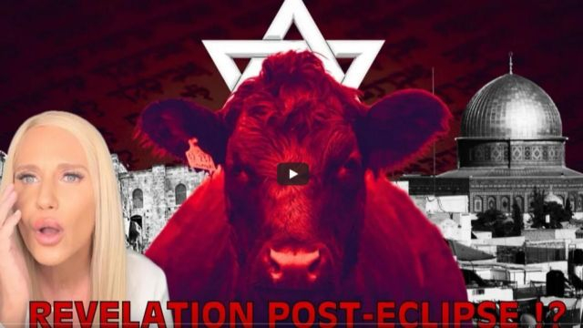 Ceremonie ancestrale et vaches rouges les coulisses post-eclipse - Mazikeen