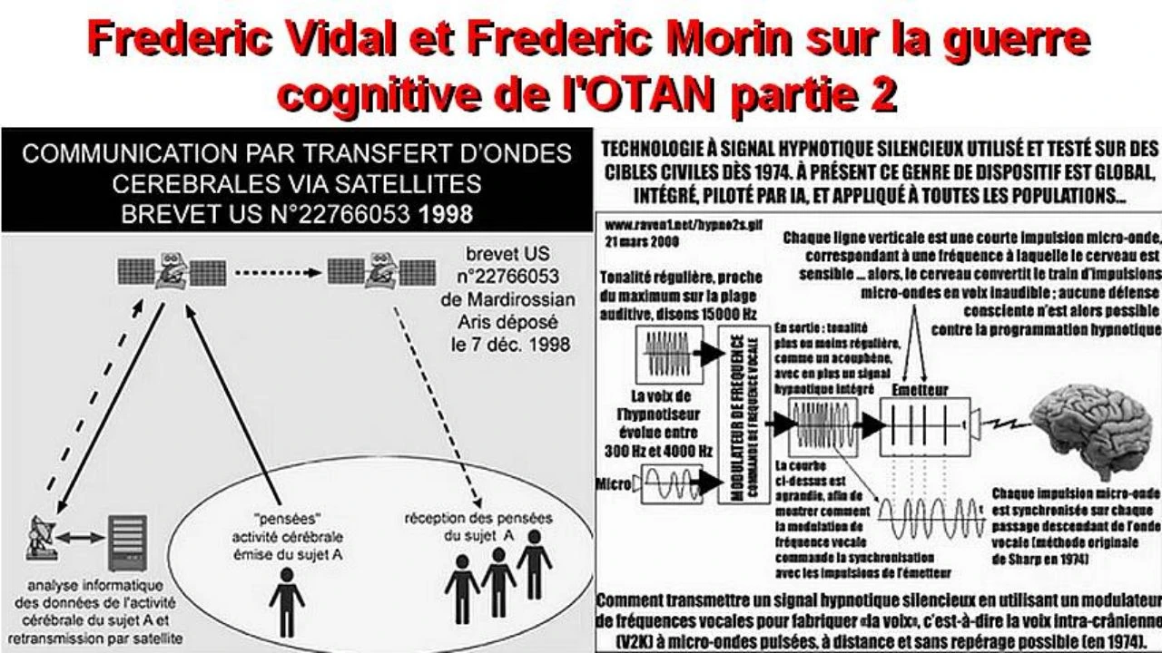 Frederic Vidal et Frederic Morin sur la guerre cognitive de l'OTAN expliquee en details partie 2