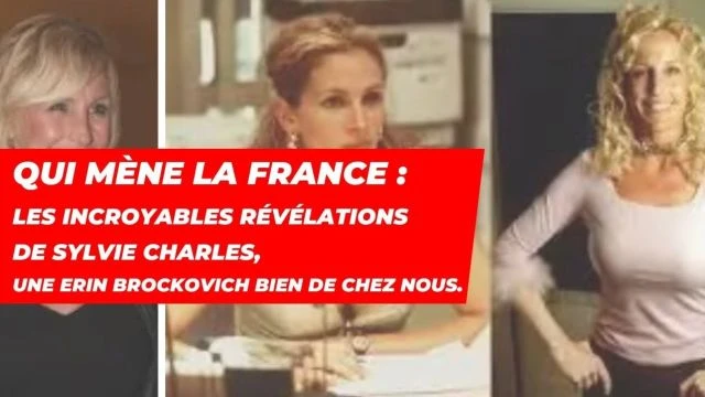 Les incroyables revelations de Sylvie Charles une Erin Brockovich bien de chez nous - Resume