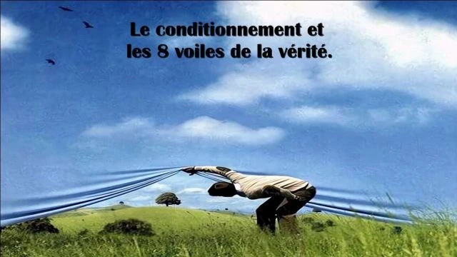 Don Harkins - Le conditionnement et les 8 voiles de la verite