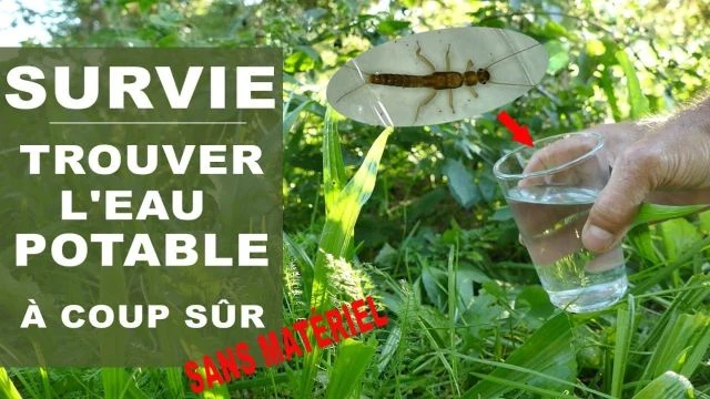 Trouver l'Eau Potable sans materiel en survie