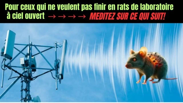 Des chercheurs ont utilise des nanoparticules pour controler des souris a distance