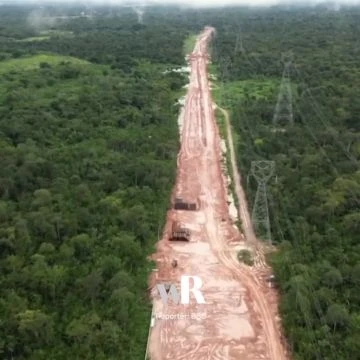 Le Brésil abat la jungle pour le sommet sur le climat COP30