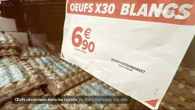 Œufs ukrainiens dans les rayons : la filière française inquiète
