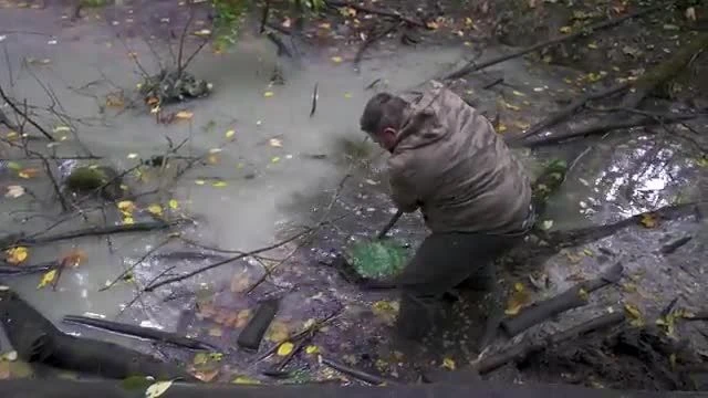 NESTLE - L'ABANDON le plus CHOQUANT de FRANCE