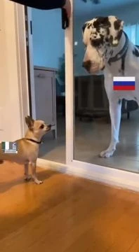 Résumé de la guerre OTAN/Russie