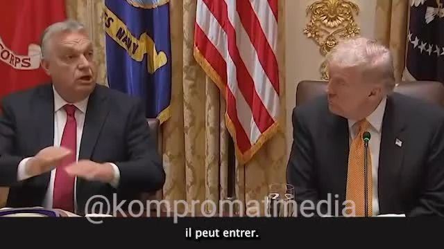 Submersion migratoire programmée