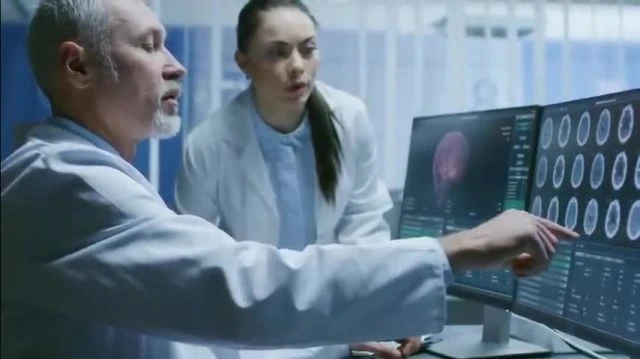 Lune double, bio-ingénierie invisible, géométries du Brésil