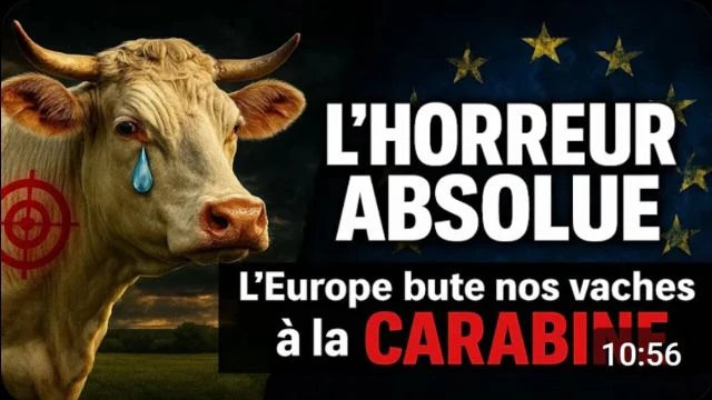 EuropeNazie l'horreur absolue L'Europe Bute Nos Vaches a la carabine - 14-11-2025 FREXIT