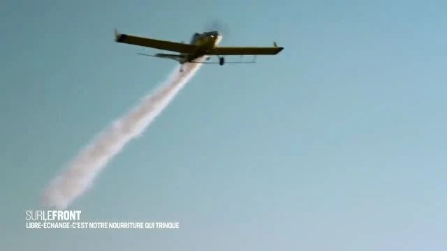 Ce scandale des lentilles est complètement fou