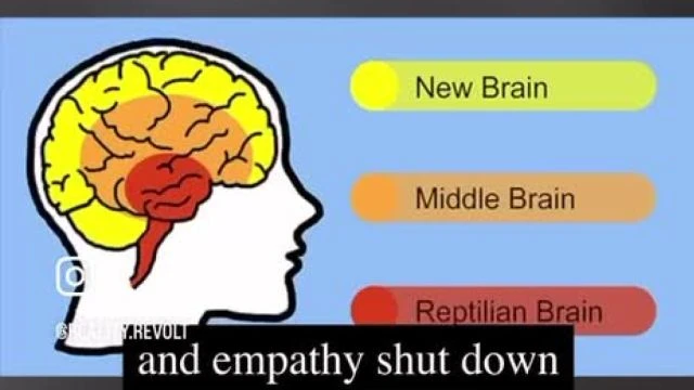 Dimitri Legrand analyse macron et son oeil rouge