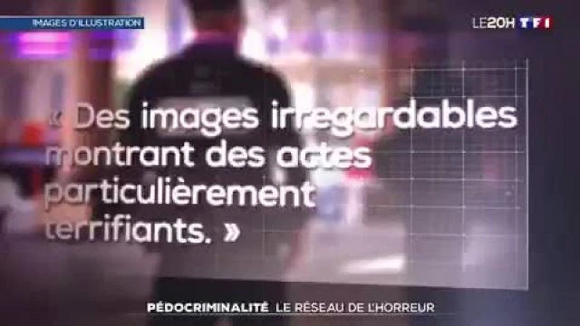 Le reseau pedocriminel de pierre-alain cottineau candidat LFI demantele en loire-atlantique