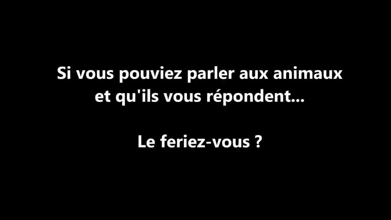 Parler aux animaux