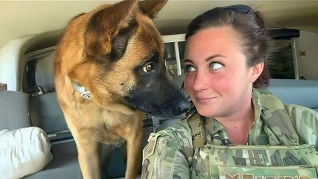 When God Sends You a Comedian Dog - Funniest Dogs Video 2026