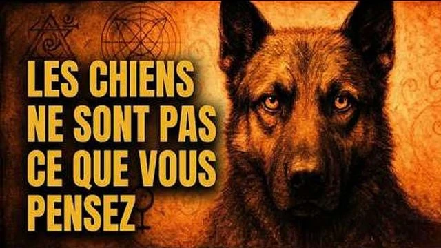 Ce qu'Edgar Cayce avait predit sur les chiens commence a arriver aujourd'hui