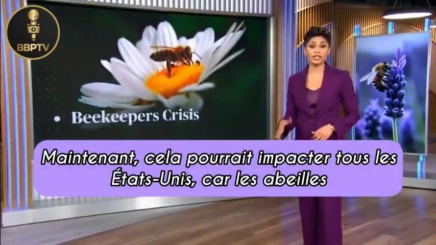 Alerte abeilles : une catastrophe mondiale ignorée