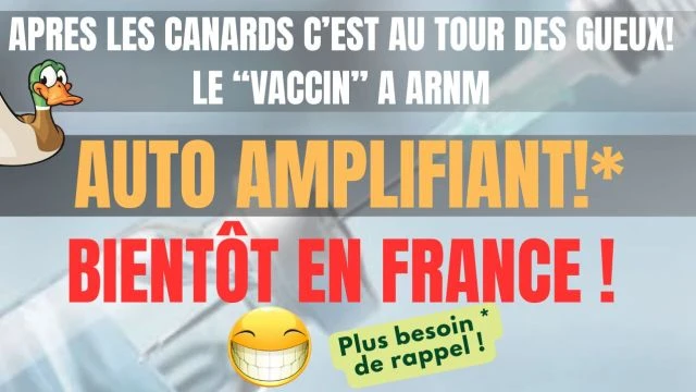 Apres les canards c'est au tour des gueux le vaccin a arnm auto amplifiant - Kairos - Sabatier