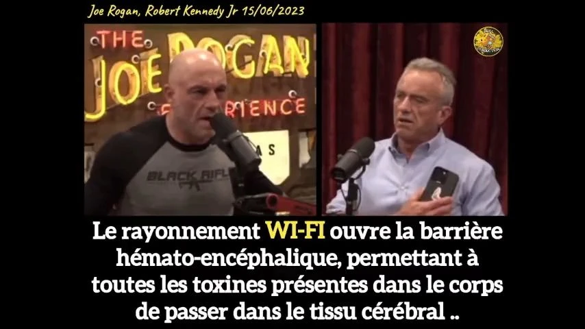Le rayonnement Wi-Fi ouvre la barrière hémato-encéphalique
