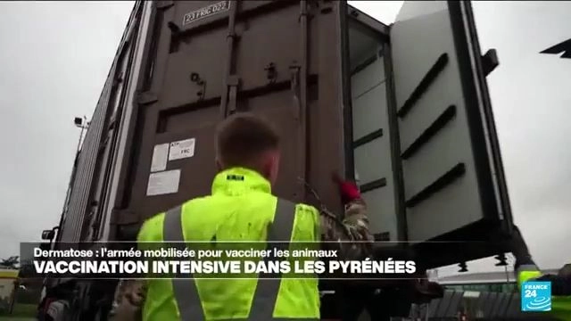La Connerie qu'il ne fallait surtout pas faire l'armee mobilisee pour vacciner les animaux