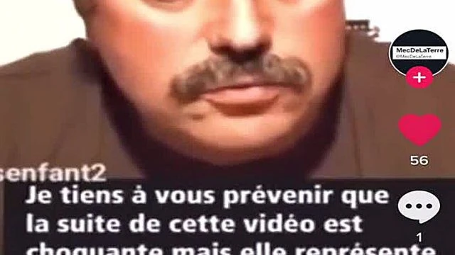 Les effets de la 5g sur les animaux