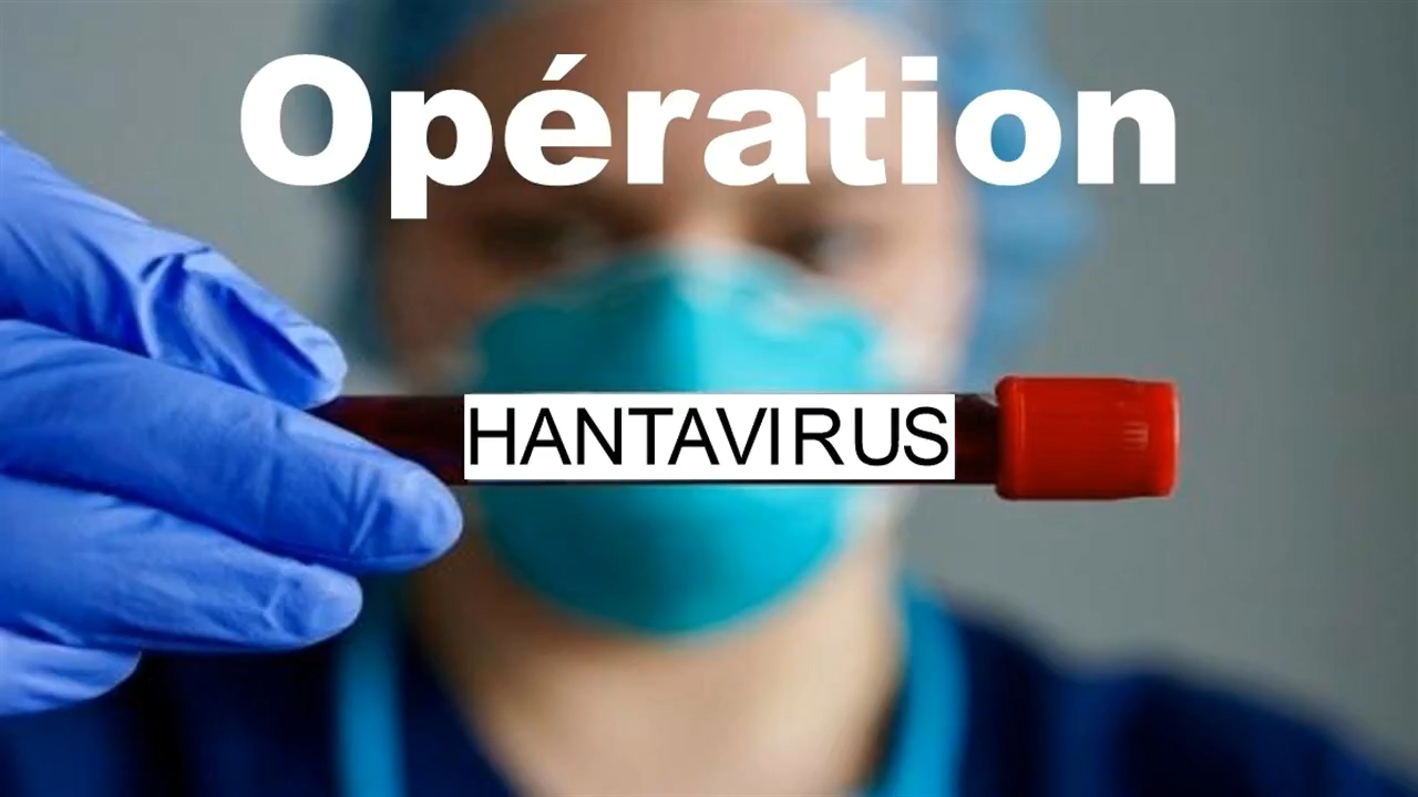 Opération hantavirus