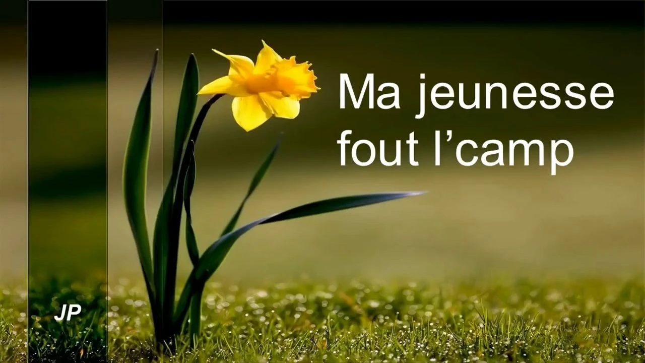 Ma jeunesse fout l'camp