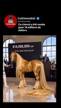 Vendu 12 millions d'euros