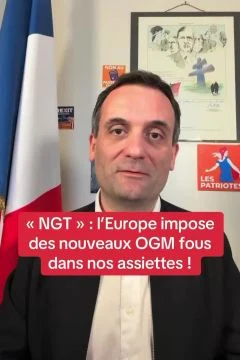 Les eurodéputés viennent de voter l’horreur des NGT