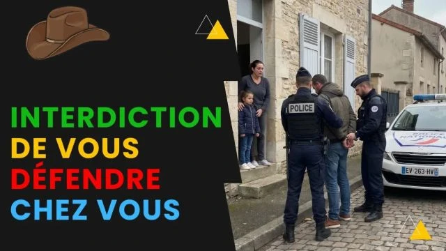 Maintenant vous n'avez plus le droit de vous Defendre en cas de vol - Draw my Economy