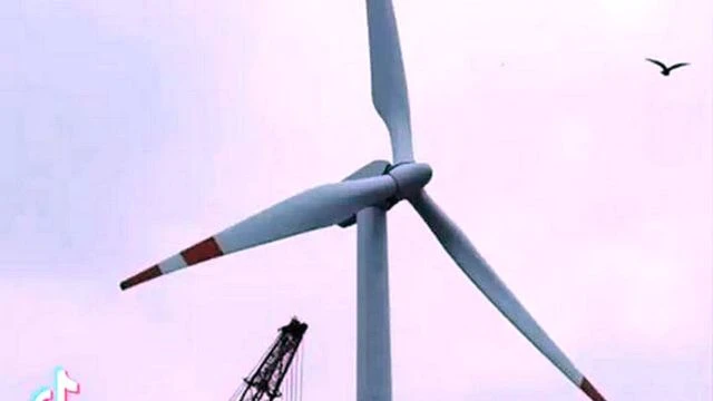 La verite sur les eoliennes