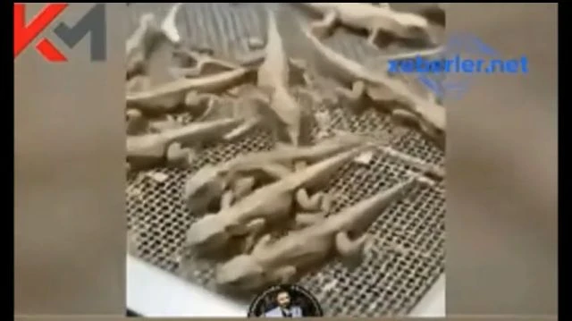 L'origine des 'bonnes' nouilles chinoises (Rolton)
