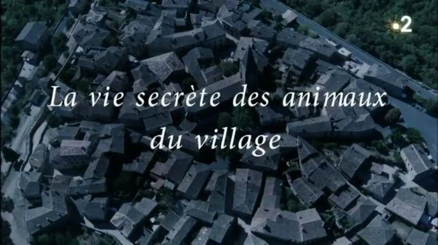 La vie secrète des animaux du village