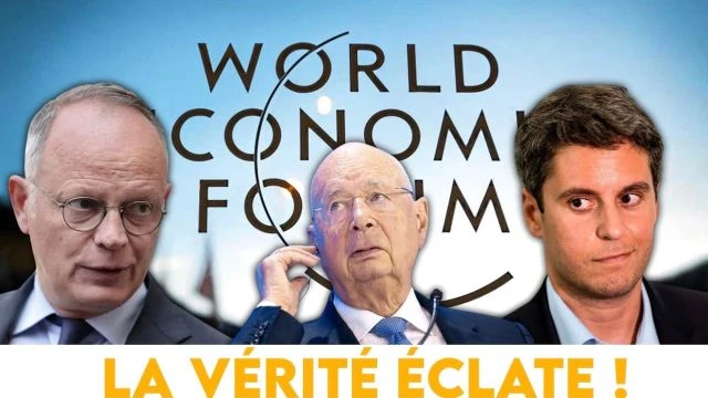 Young leaders en France la verite eclate c'est la folie - Philippot